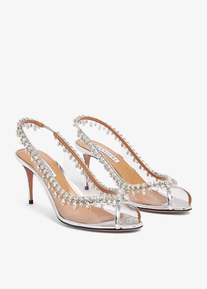 temmids1-spp-ccc_5.jpg?ts=20240620030525