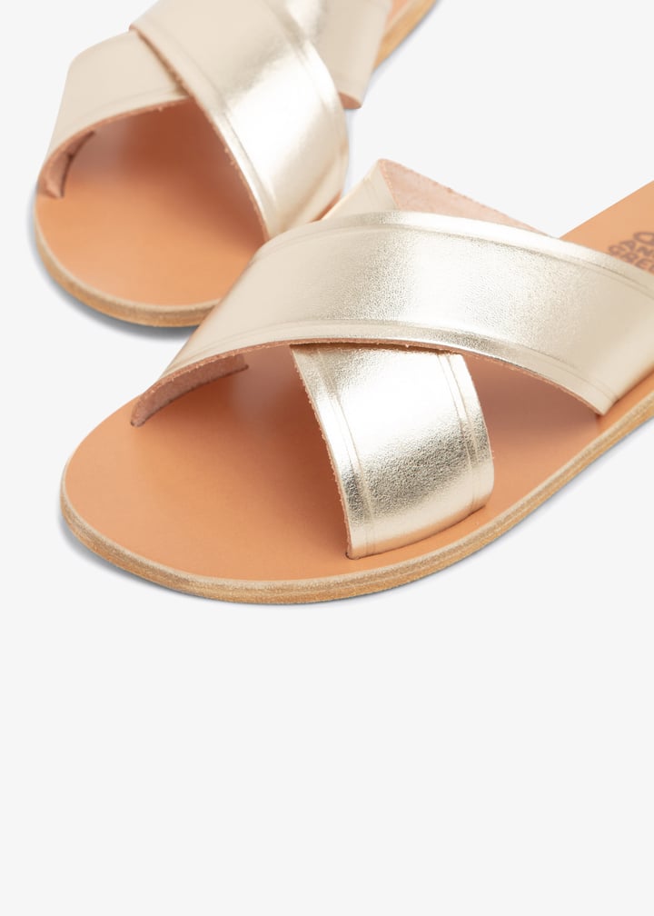 thais-pltnum_3.jpg?ts=20240821031119