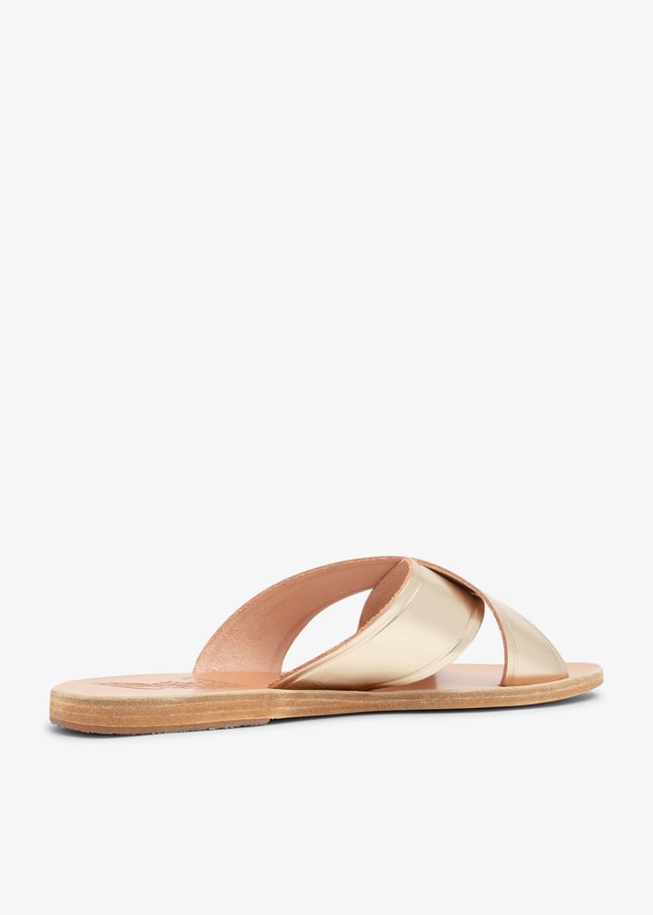 thais-pltnum_4.jpg?ts=20240821031119