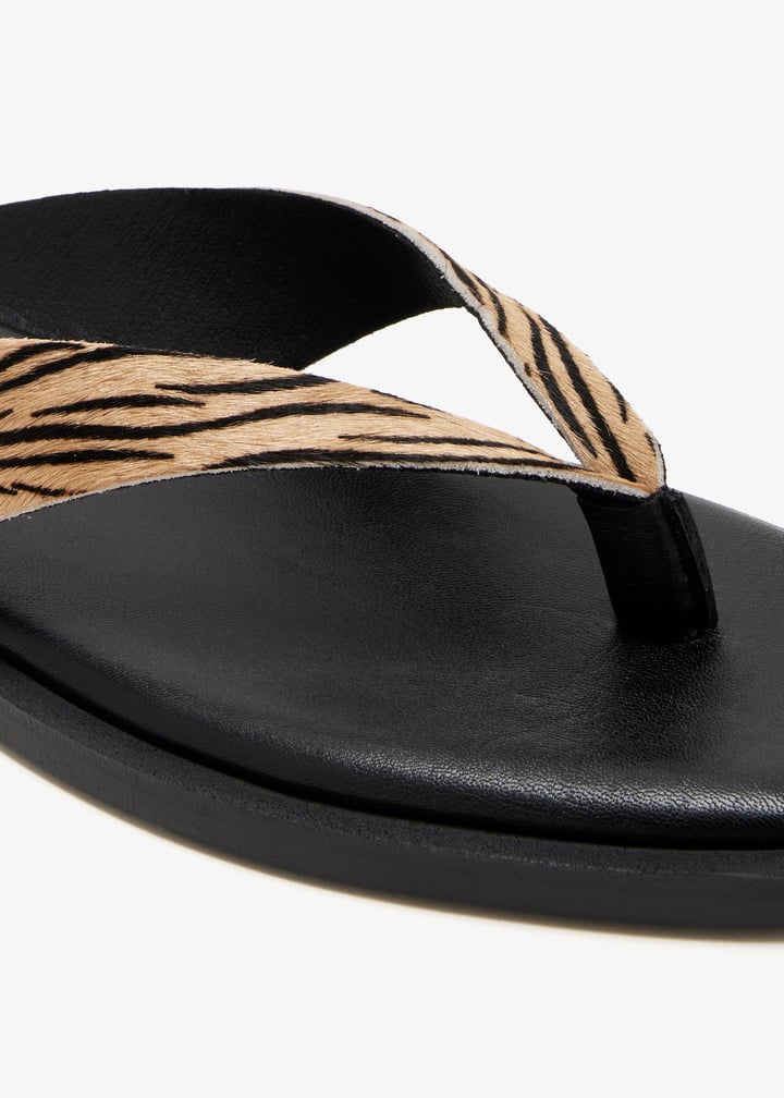 thalia-zbrblk_5.jpg?ts=20260109030238