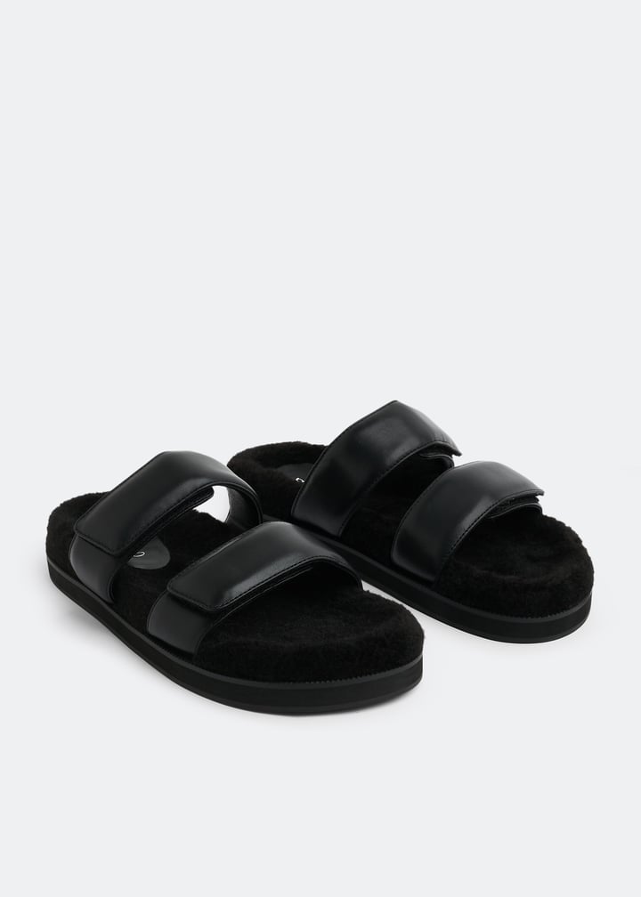 theo-ebony_5.jpg?ts=20220907033017