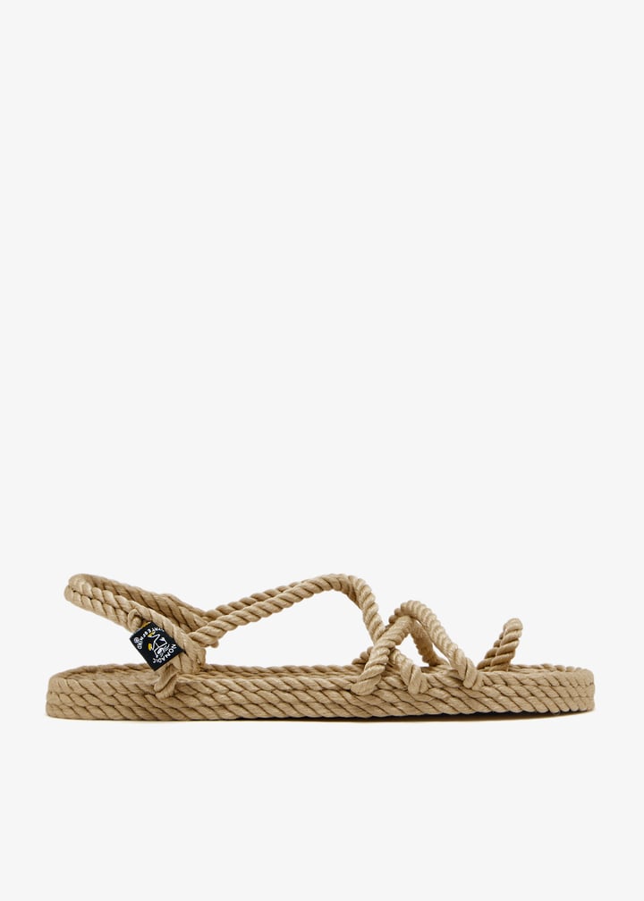 toejoe-camel_1.jpg?ts=20250111031532