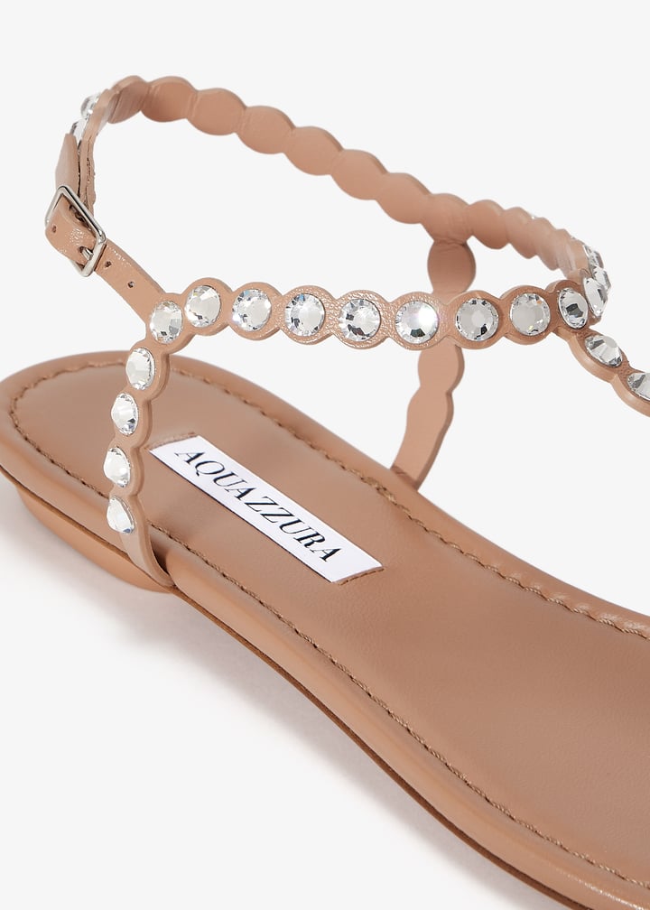 tqlflas2-nap-pwp_5.jpg?ts=20250405030532