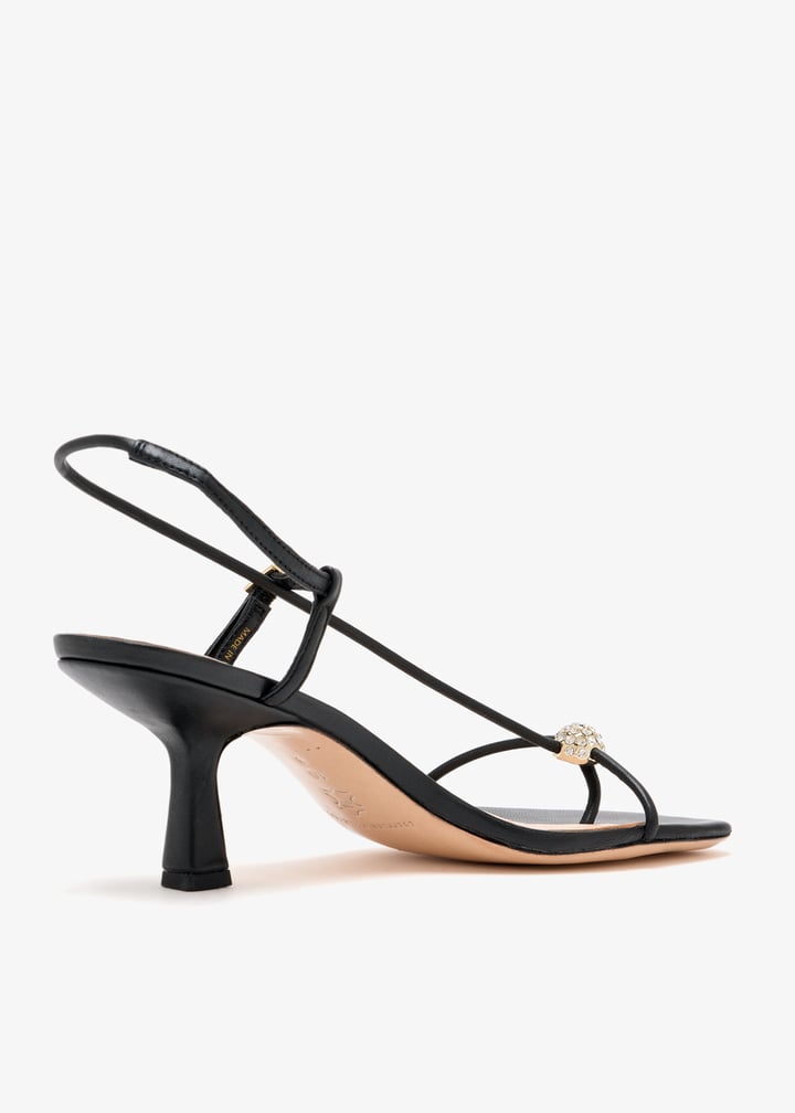 triana-n-bkgcr_6.jpg?ts=20260210033219