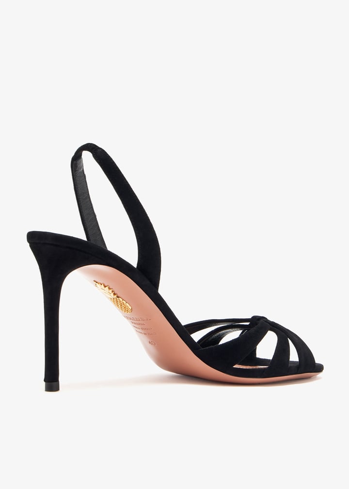 ttimids0-sue-000_6.jpg?ts=20241224030529