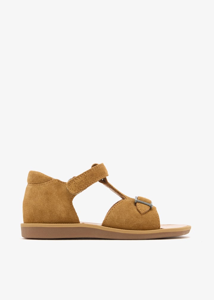 u1ccvl04r1-camel_1.jpg?ts=20260528151023