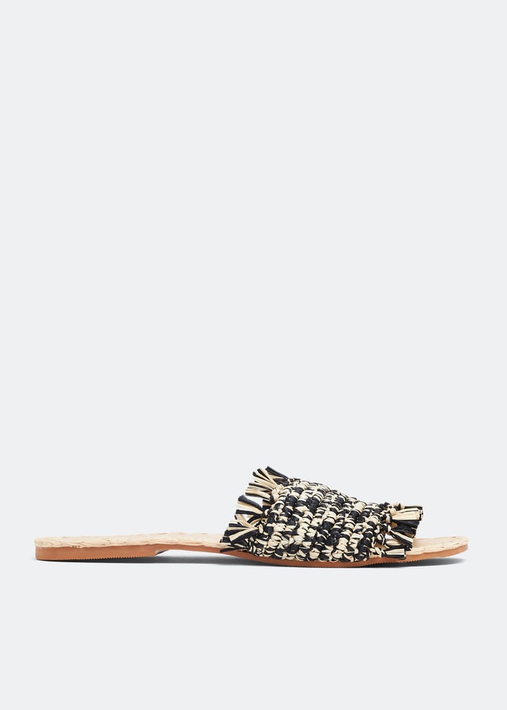 v34y0-blname_1.jpg?ts=20230327033013