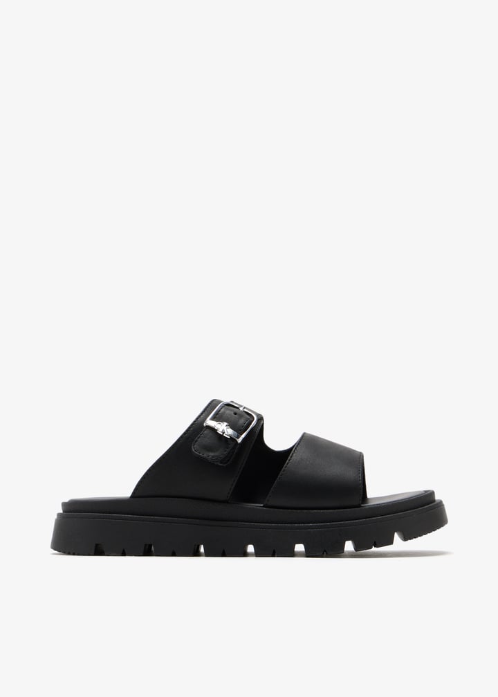 v4b2-83055-1251-999_1.jpg?ts=20241225040628