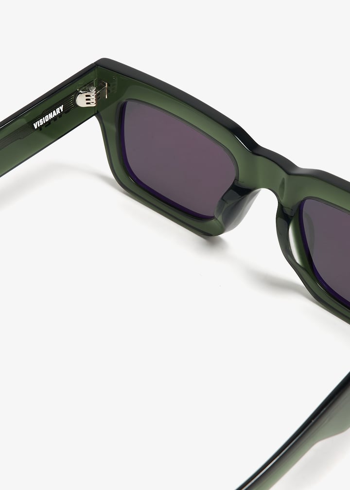 visionary-forgrn_7.jpg?ts=20240724034625