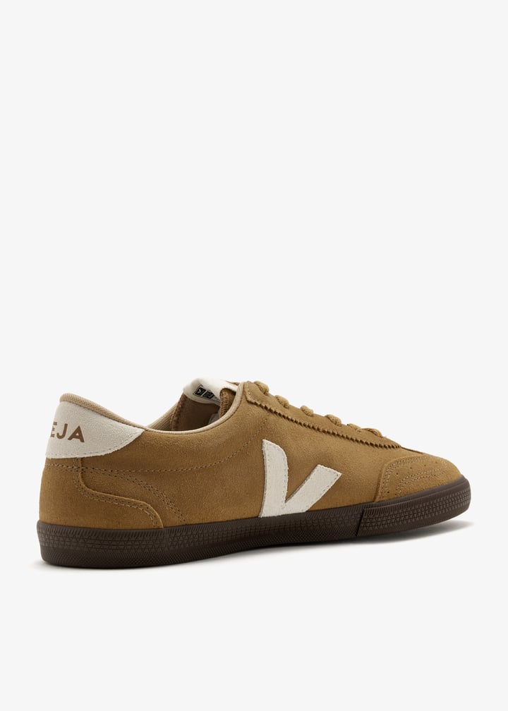 vo0303724b-tnnteg_6.jpg?ts=20260222042904