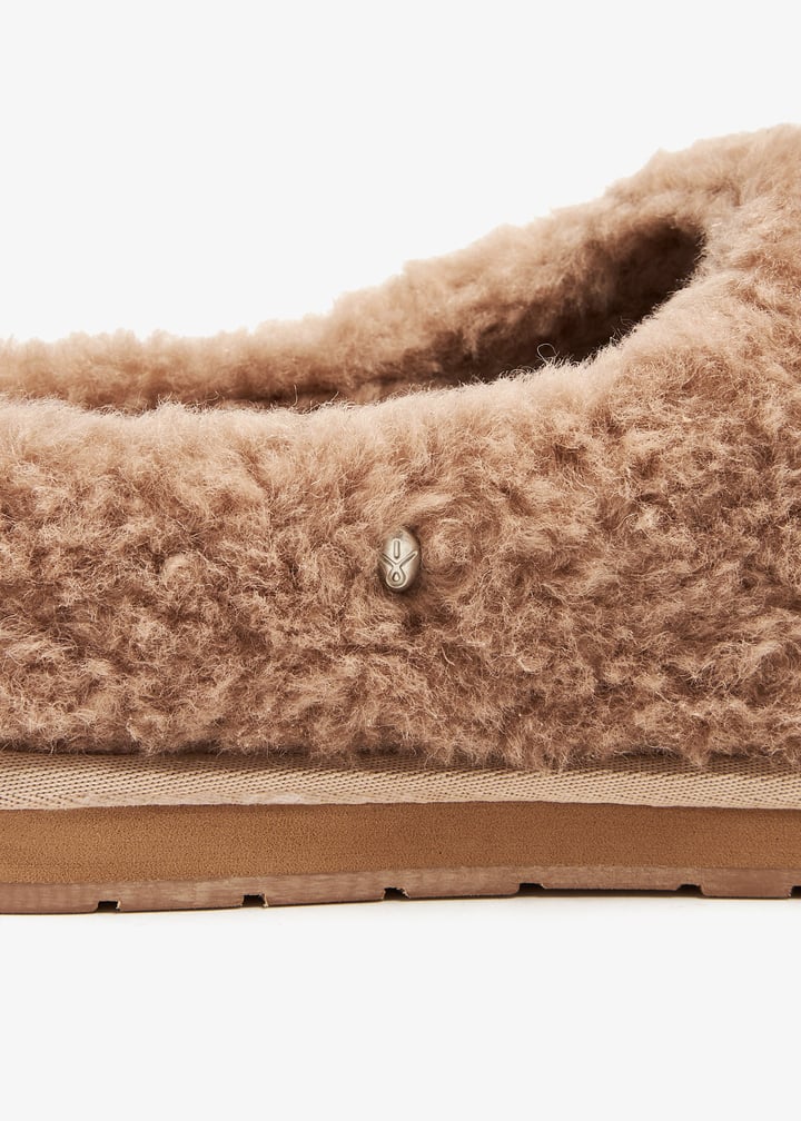 w12583-came_5.jpg?ts=20240921033520