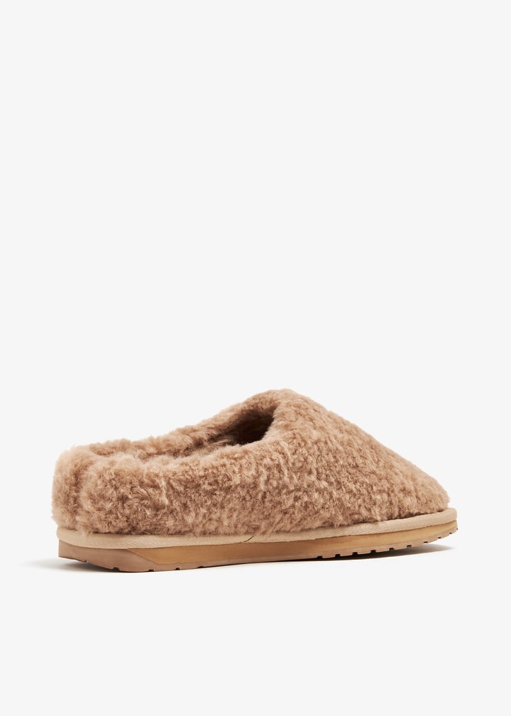 w12583-came_6.jpg?ts=20240921033520