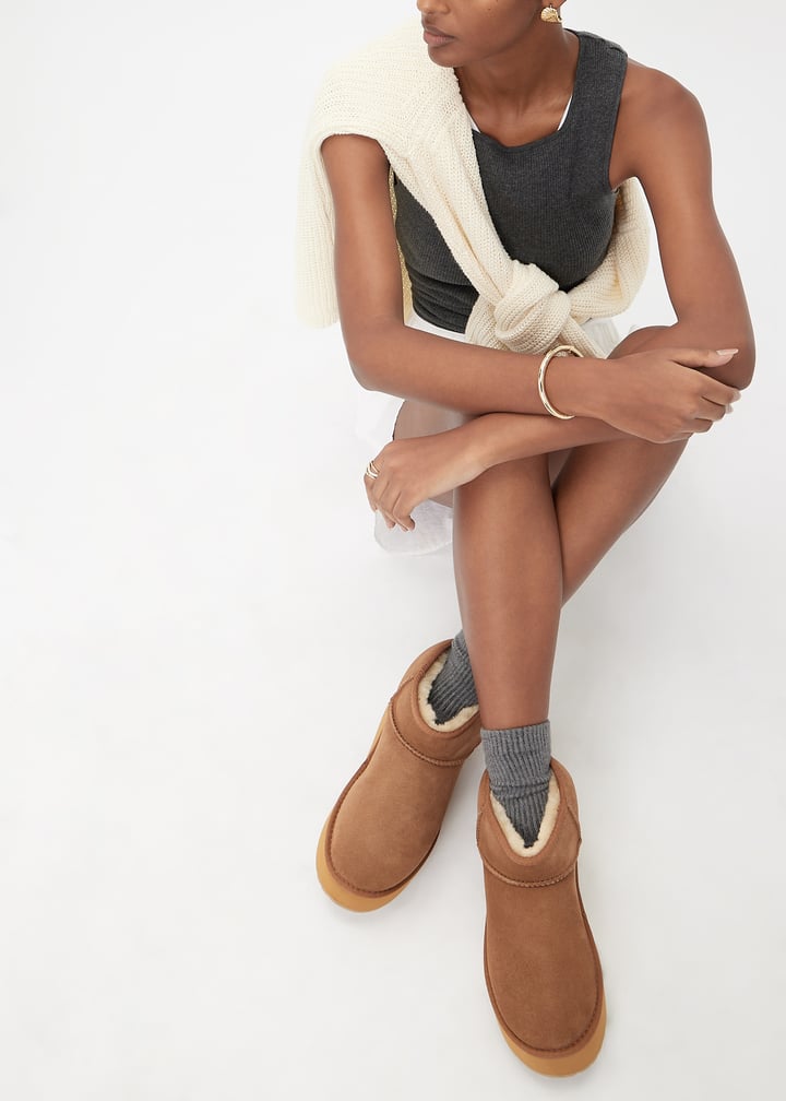 w13082-chsnut_2.jpg?ts=20240921030518