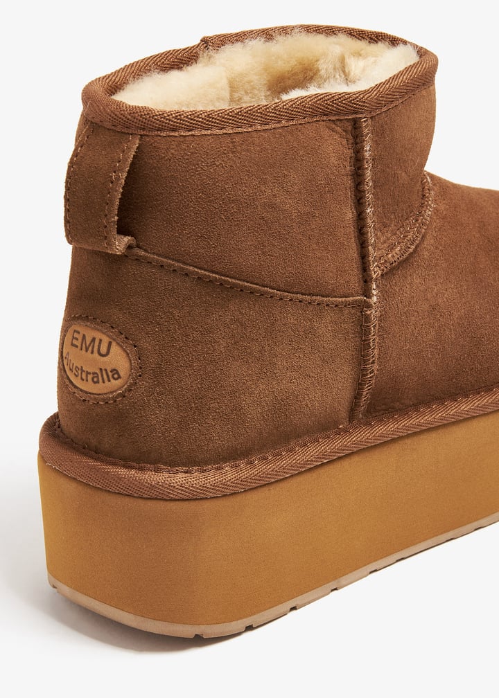 w13082-chsnut_5.jpg?ts=20240921030517