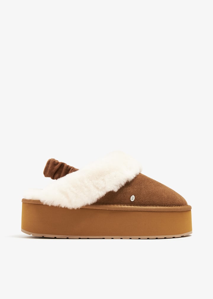 w13137-chsnut_1.jpg?ts=20240921033520