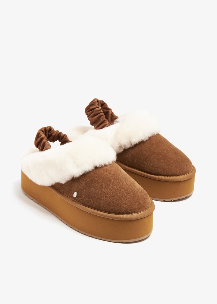 w13137-chsnut_7.jpg?ts=20240921033520