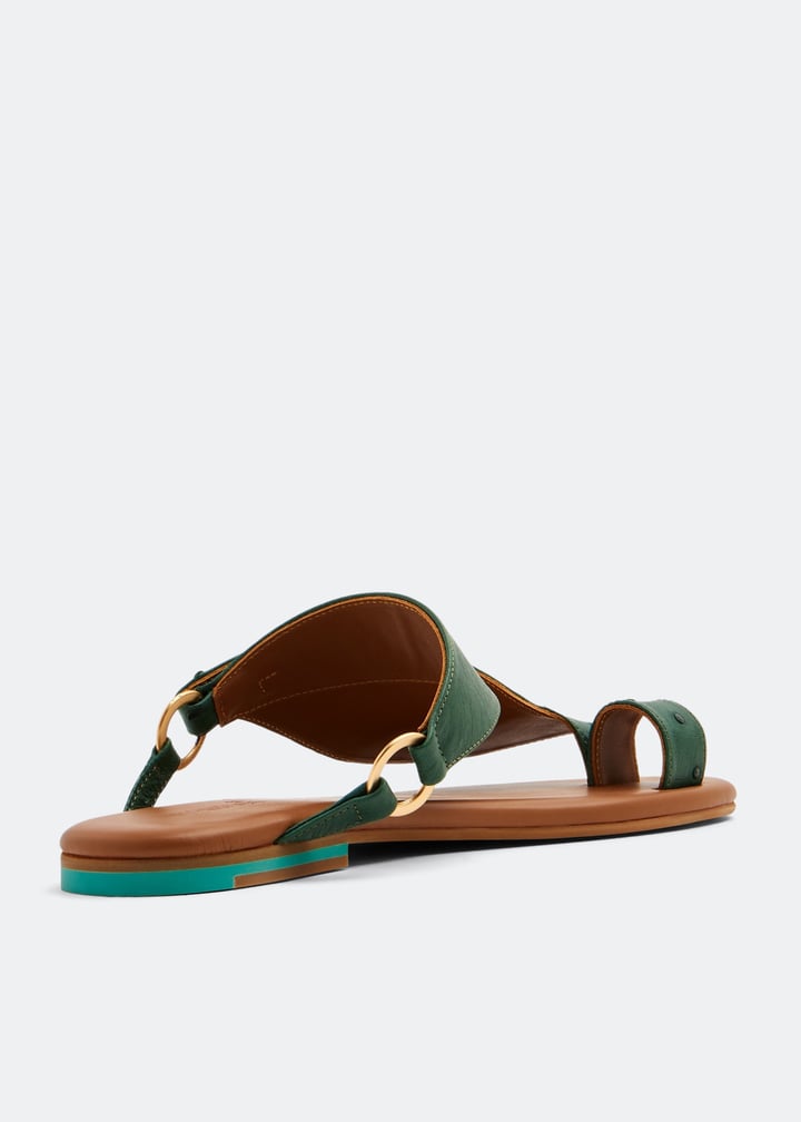 wdhaleem-drkgrn_3.jpg?ts=20221005173016