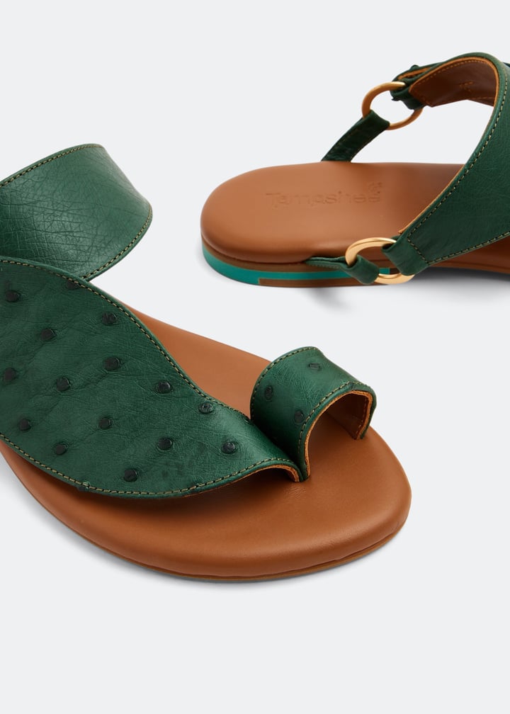 wdhaleem-drkgrn_4.jpg?ts=20221005173016