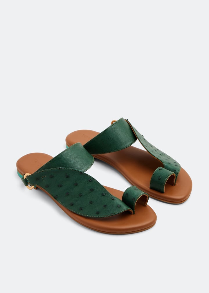 wdhaleem-drkgrn_5.jpg?ts=20221005173016