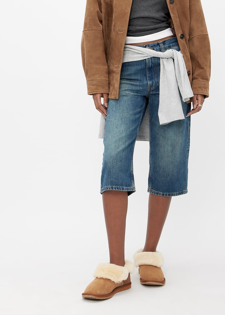 wp11850-chsnut_2.jpg?ts=20240921030518