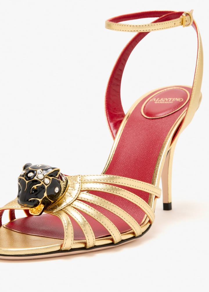 ws0pb2tbki8m_5.jpg?ts=20260116141322