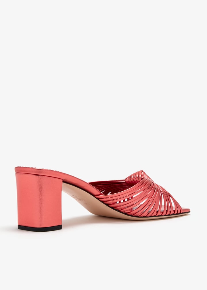 ws0pj7flqh03_6.jpg?ts=20260309051029