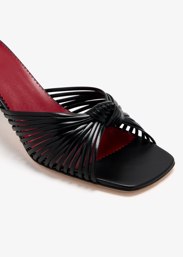 ws0pj7zic0no_5.jpg?ts=20260308051355