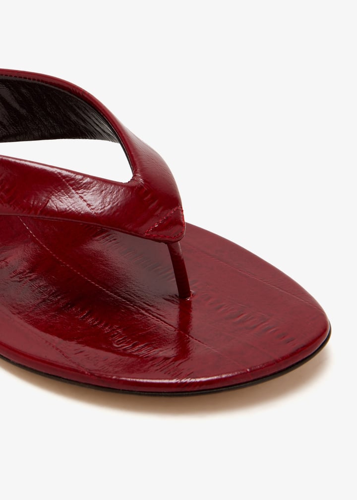 wts-eel-oxb_5.jpg?ts=20260127021243