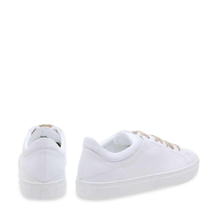 y0010000-bchwht_3.jpg?ts=20220409164609