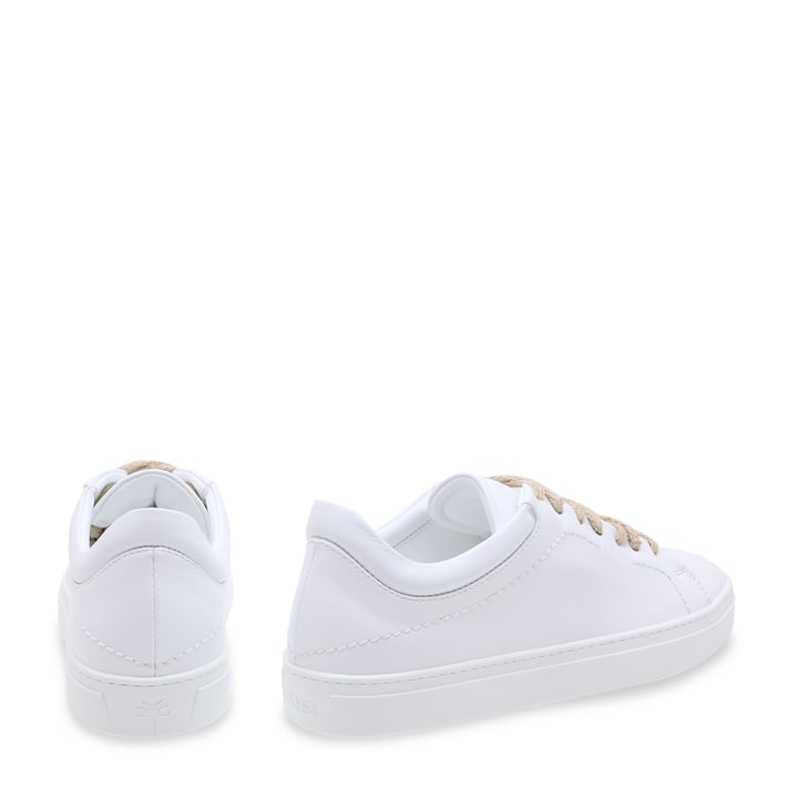 y0030000-bchwht_3.jpg?ts=20220409164610