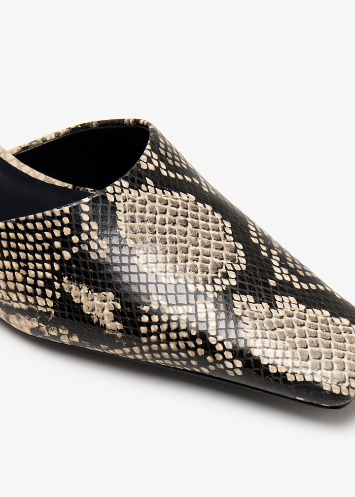 zubi-ecrsnk_5.jpg?ts=20241121030516