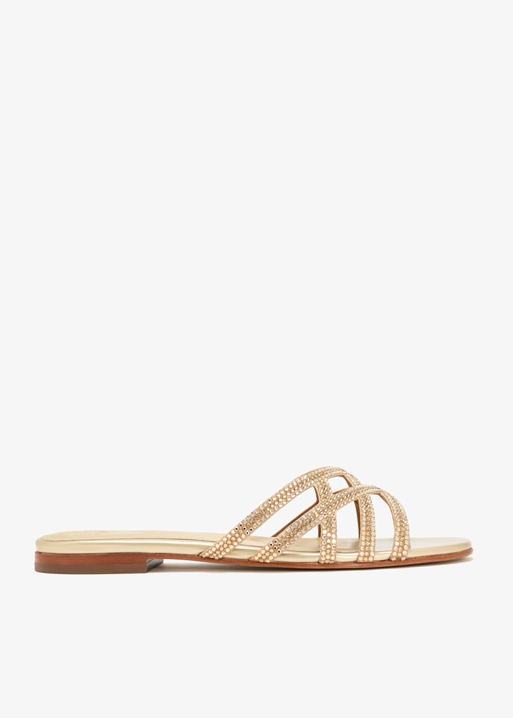 zuri-golpat_1.jpg?ts=20260523065823