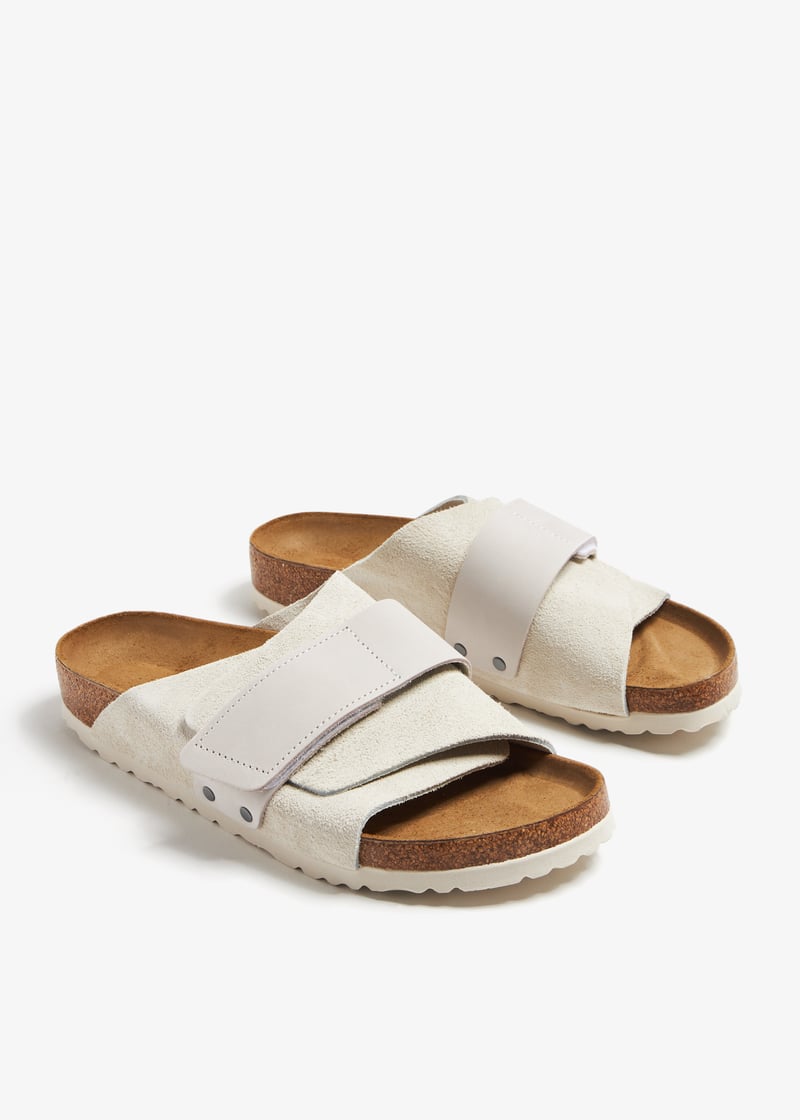 1024526-antwht_5.jpg?ts=20231208031612