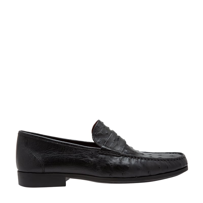 13151-negro_1.jpg?ts=20220524040612