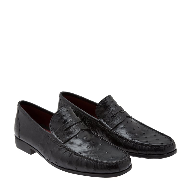 13151-negro_2.jpg?ts=20220524040612