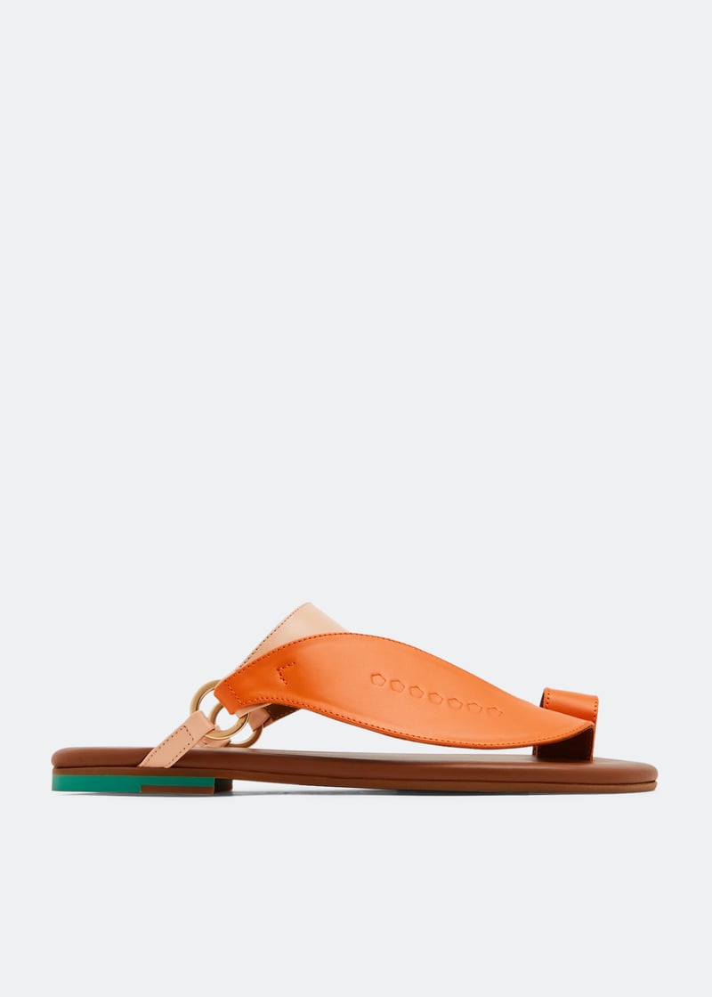 1443hsumwjeery-orange_1.jpg?ts=20220708030507