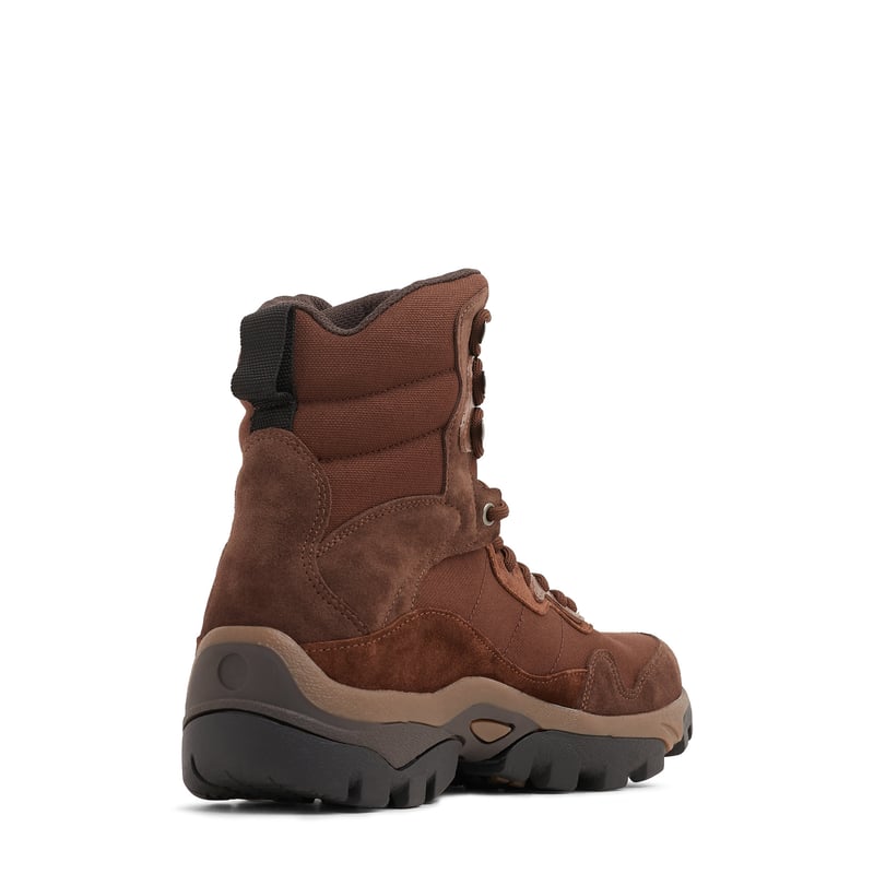 216fo05216506800-brown_4.jpg?ts=20220504174252