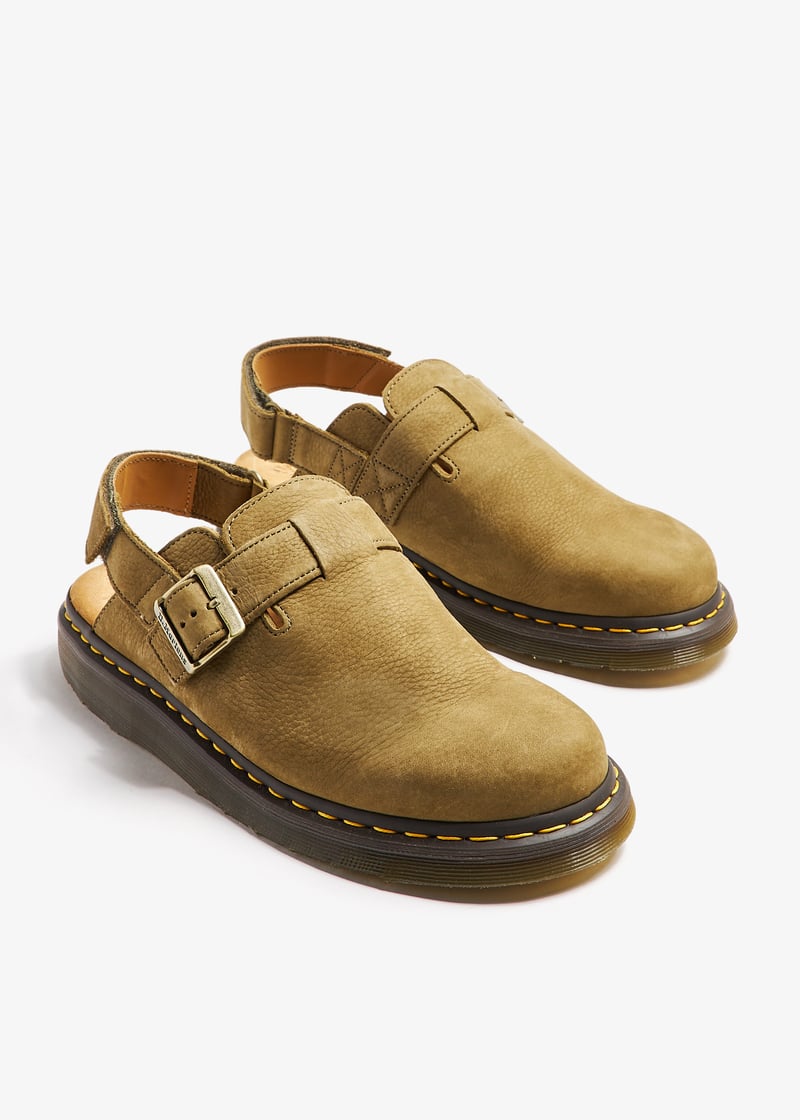 31564357-olive_7.jpg?ts=20241015030517