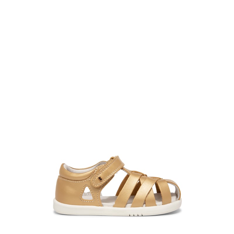638303-gold_1.jpg?ts=20220504180848