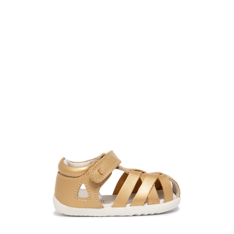 732303-gold_1.jpg?ts=20220504181521