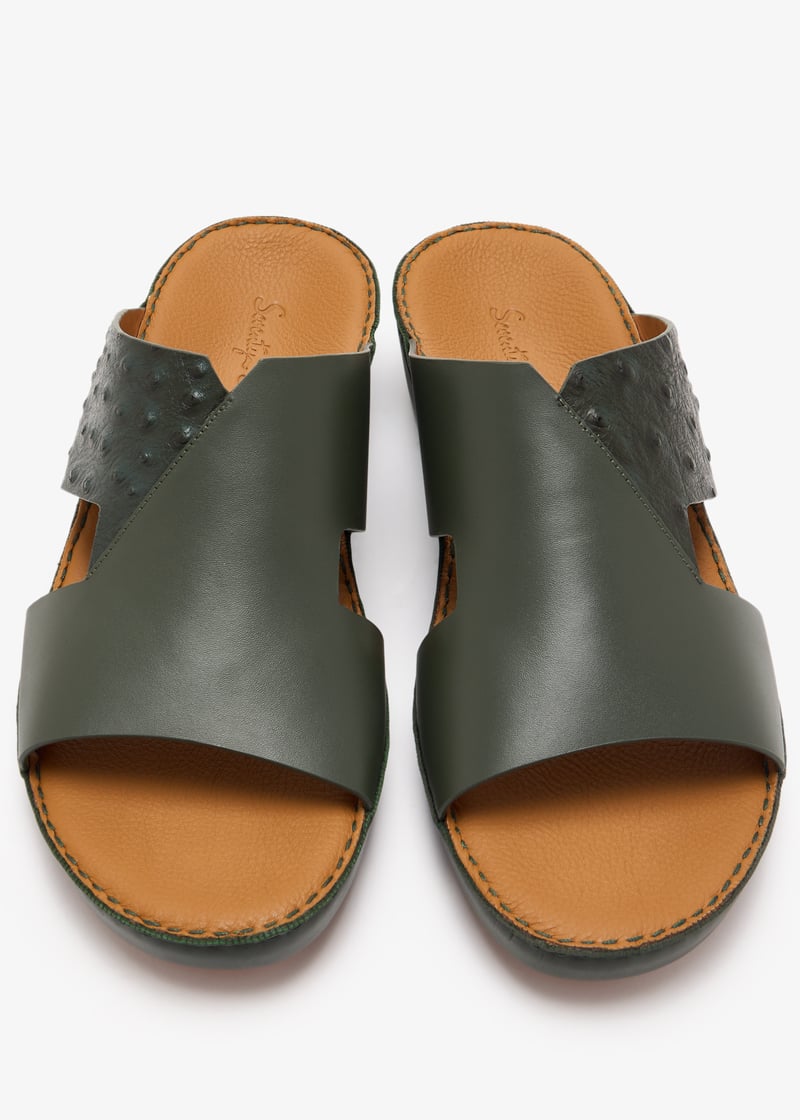 76111-olive_7.jpg?ts=20250301035616