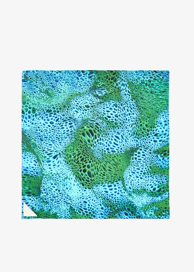 algasmallmoussard-green_1.jpg?ts=20250423112012