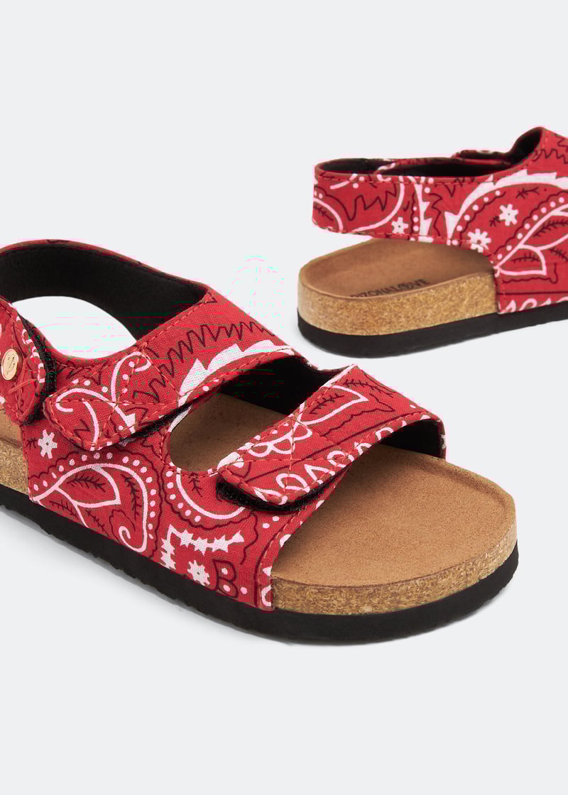 apkids-red_3.jpg?ts=20230517030514