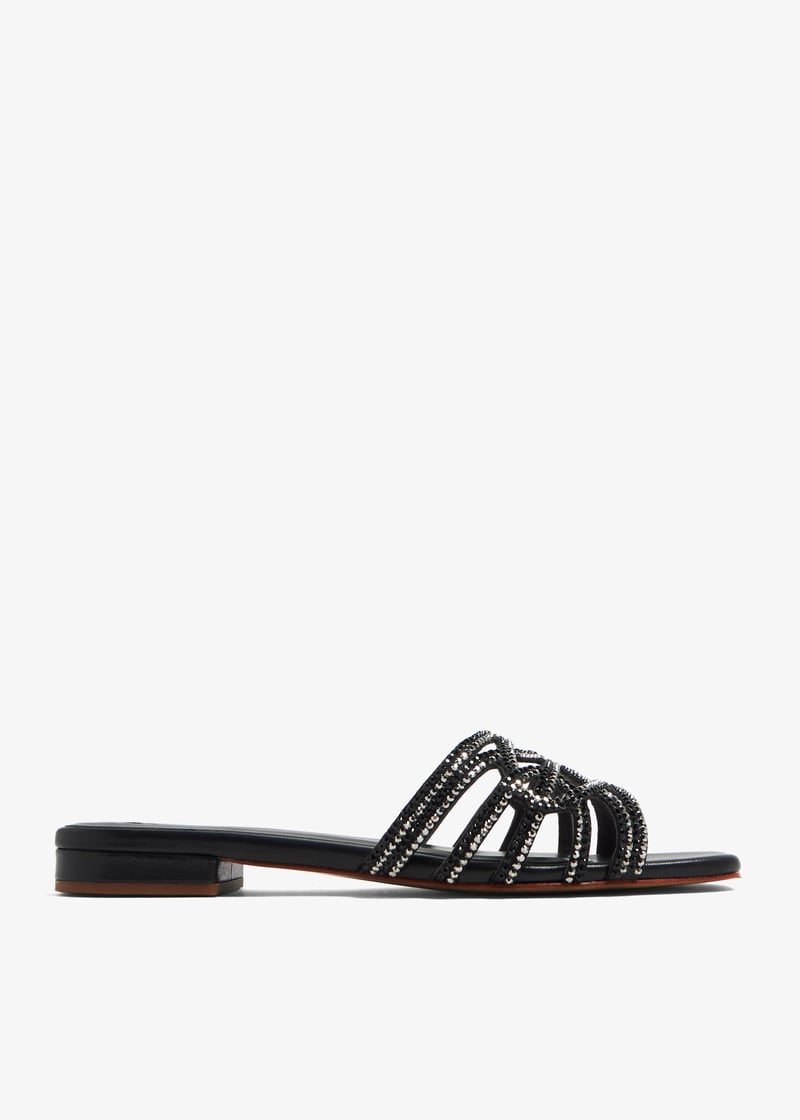 apolline-black_1.jpg?ts=20231026034044