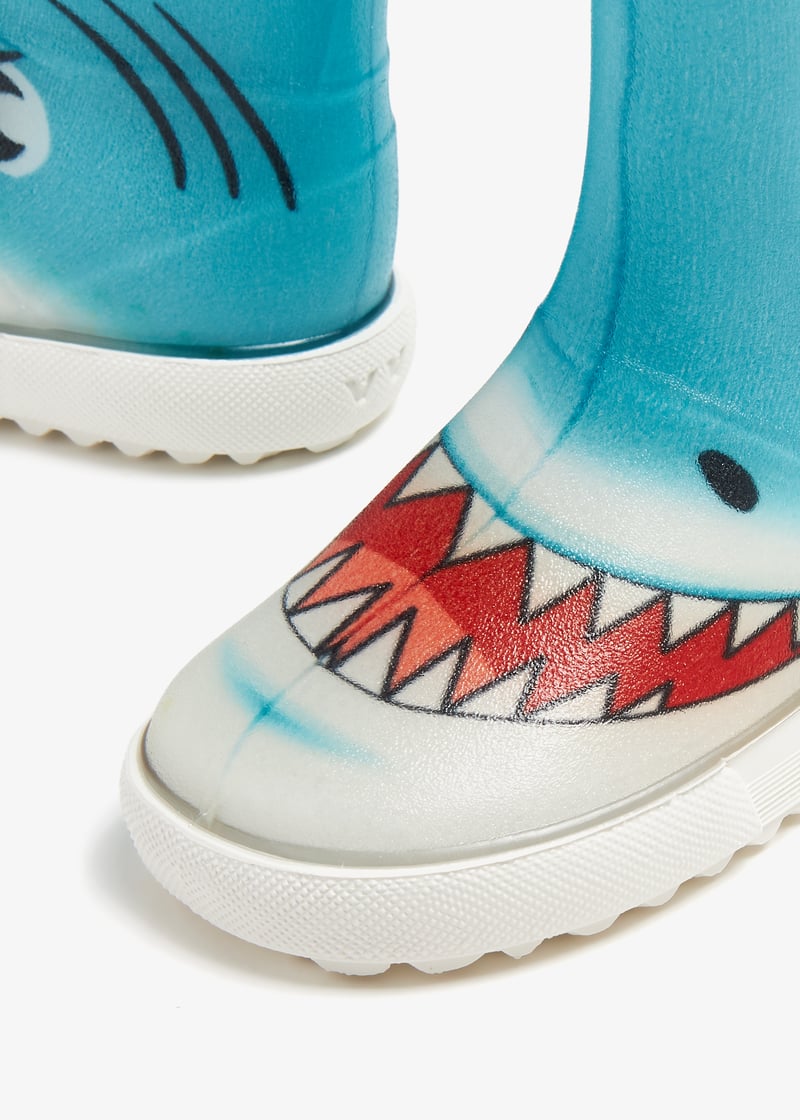 boanaustab0001-requin_3.jpg?ts=20231213045530