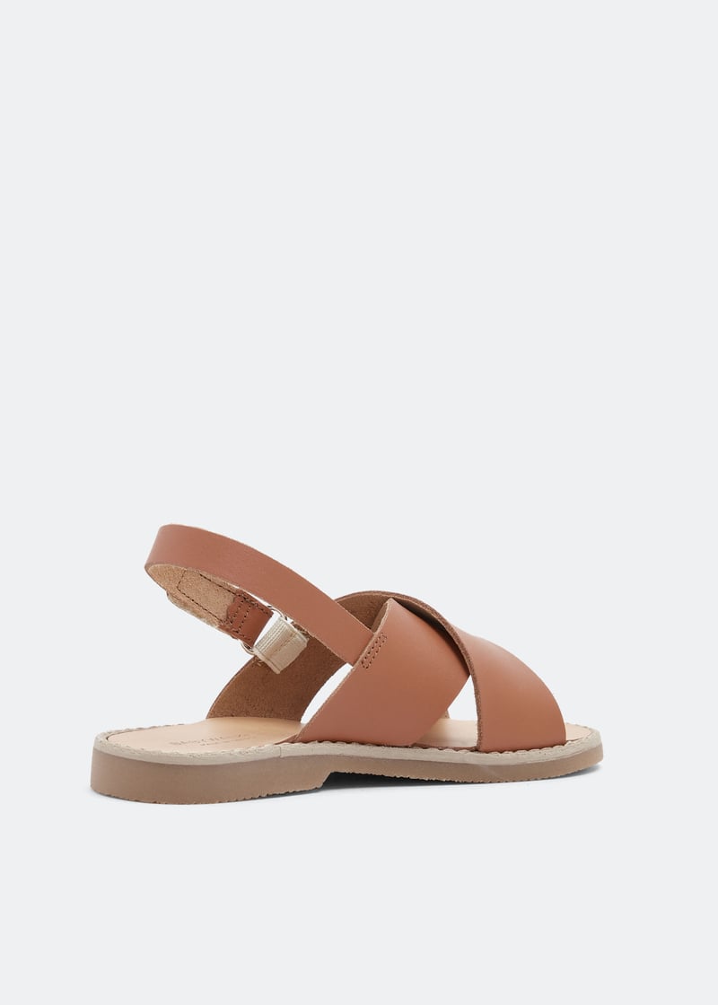 bpb0023-camel_3.jpg?ts=20220504182425