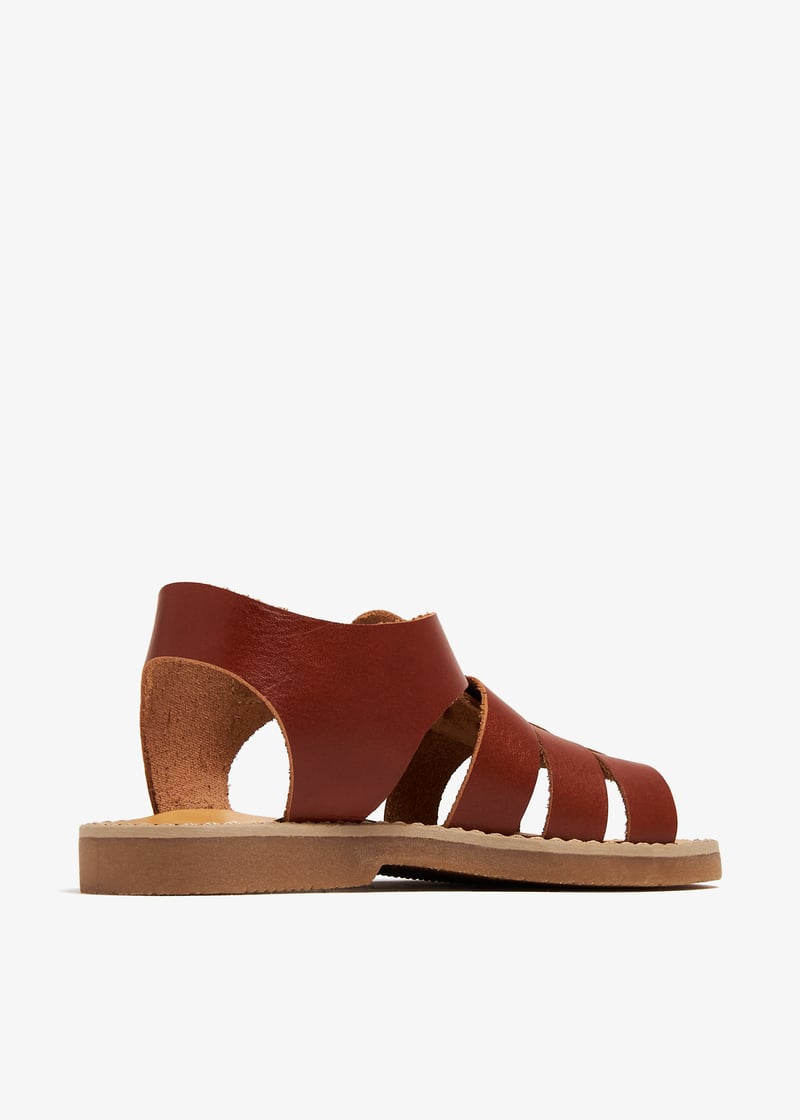 bpb0082-camel_6.jpg?ts=20240201033027