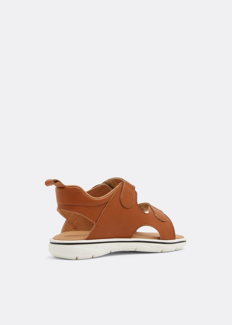 bpb4202-camel_3.jpg?ts=20220505183610