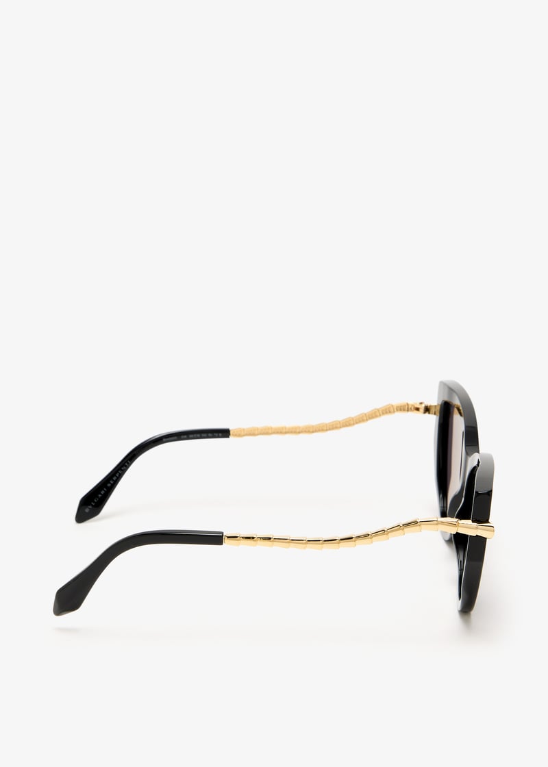 bv40001i-01a_6.jpg?ts=20250507035100