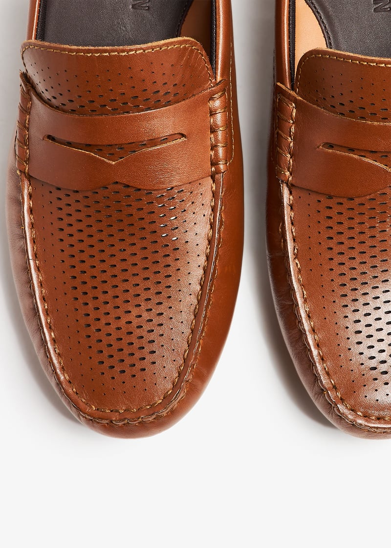 c36653-brown_5.jpg?ts=20241018030513